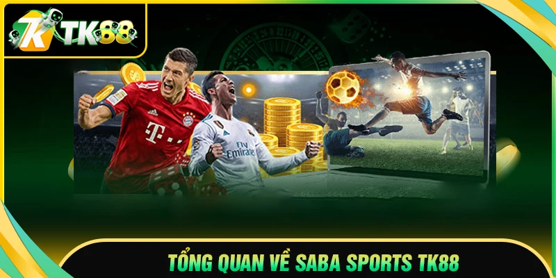 Tổng quan về sảnh Saba Sport